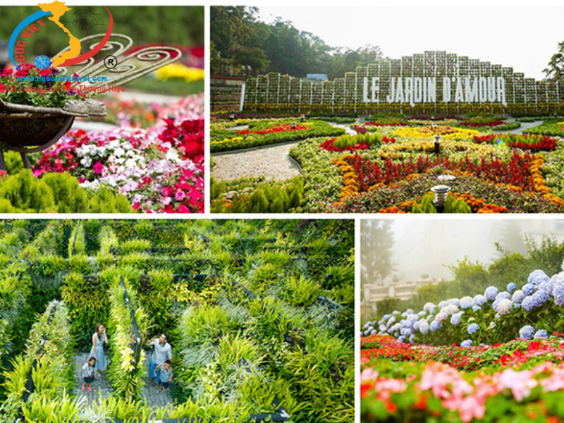 TOUR COMBO-08 ĐÀ NẴNG- SƠN TRÀ – NGŨ HÀNH SƠN – HỘI AN – BÀ NÀ – CÙ LAO CHÀM – KINH THÀNH HUẾ - 5N4Đ - TẾT 2024