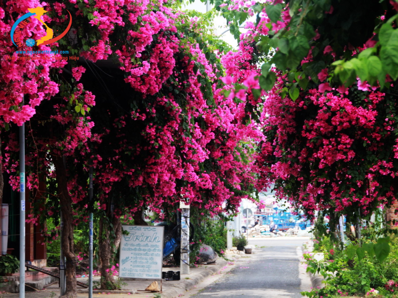 TOUR NHA TRANG - KHÁM PHÁ HÒN NGỌC BIỂN ĐÔNG