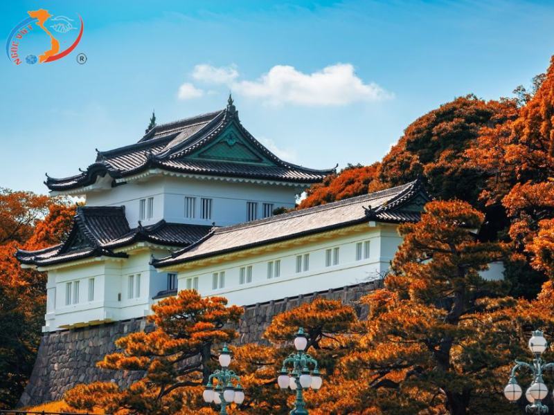 TOUR JAPAN - NARITA – TOKYO – FUJI  – NAGOYA – KANSAI