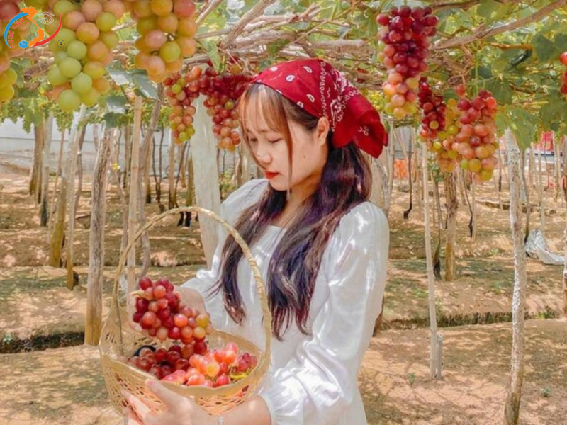 KHÁM PHÁ ĐẢO BÌNH HƯNG – VỊNH VĨNH HY