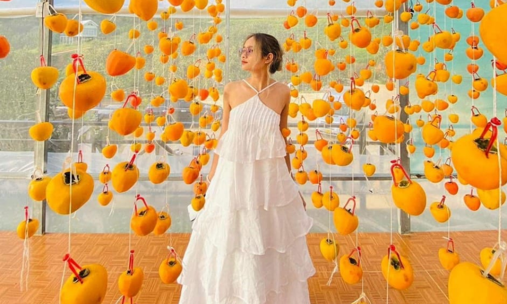 TOUR ĐÀ LẠT 3N3Đ